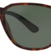 Test Persol Lunettes de Soleil Mixte 52 mm Avana/Verde : des lunettes sérieuses pour ceux qui en ont marre des Ray-Ban