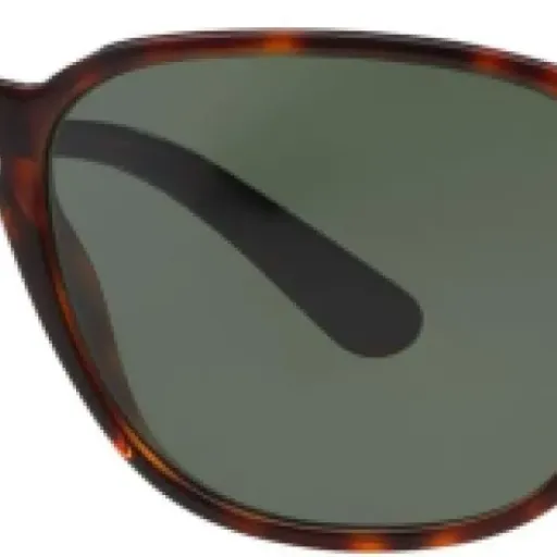 Test Persol Lunettes de Soleil Mixte 52 mm Avana/Verde : des lunettes sérieuses pour ceux qui en ont marre des Ray-Ban
