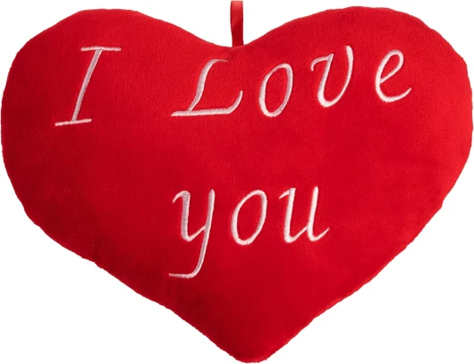 Coussin en Forme de cœur - Coussin brodé 26 cm Oreiller Moelleux Je t'aime