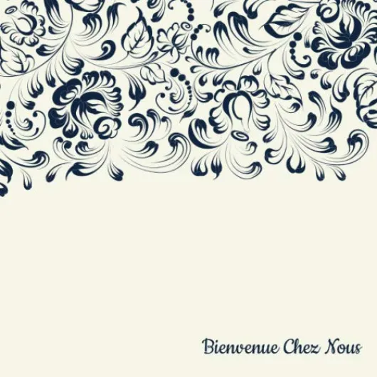 Bienvenue Chez Nous: Livre d'or Airbnb/Chalet/Maison de vacances avec Manuel de Maison en anglais et français