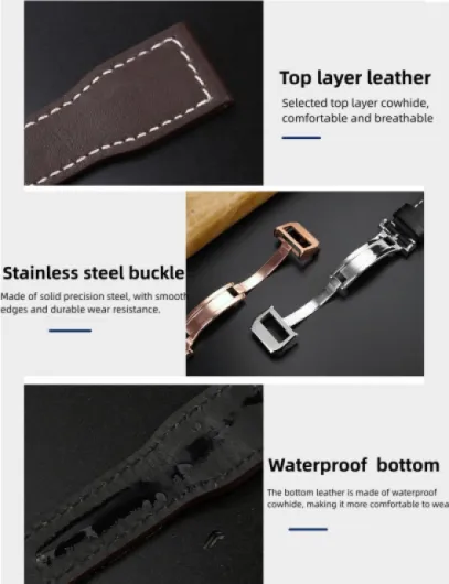 61CIcIZV0EL._AC_SL1300_