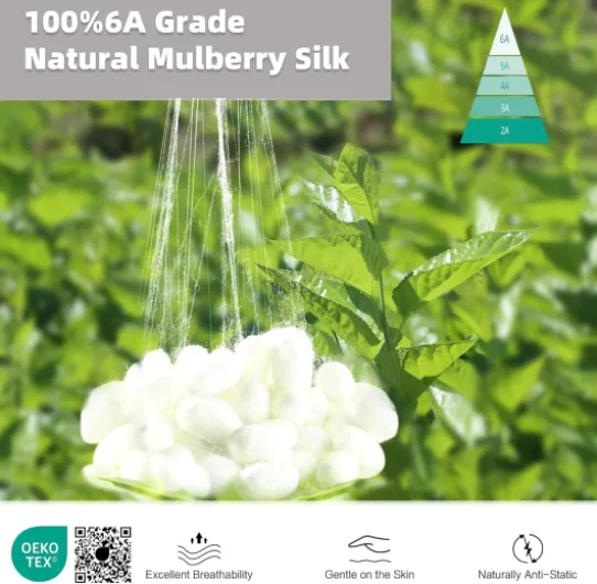 81nV2g3IbxL._AC_SL1500_