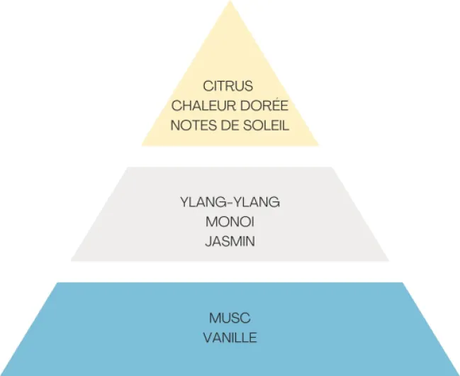 611IEUttAQL._AC_SL1500_