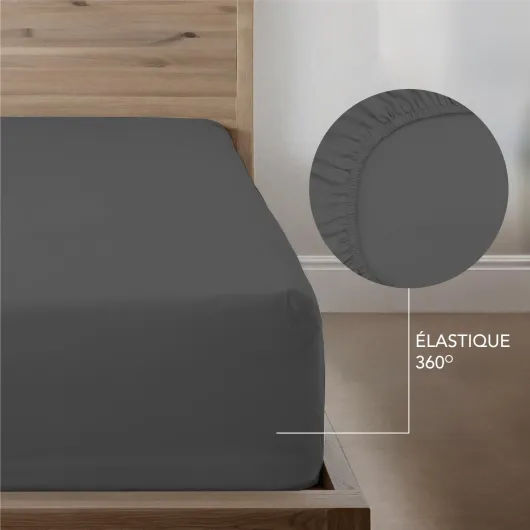 61QjDxwyYiL._AC_SL1500_