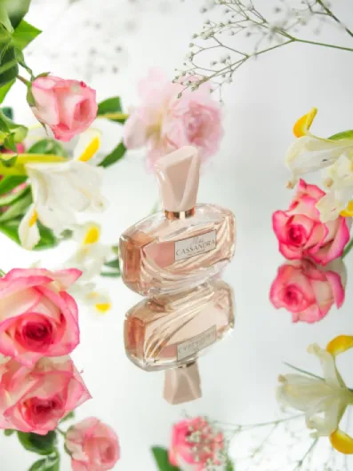 81HN1ShjrjL._AC_SL1500_