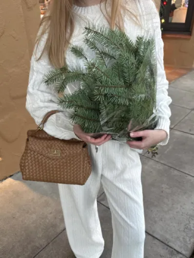 81GPjPMFxlL._AC_SL1500_