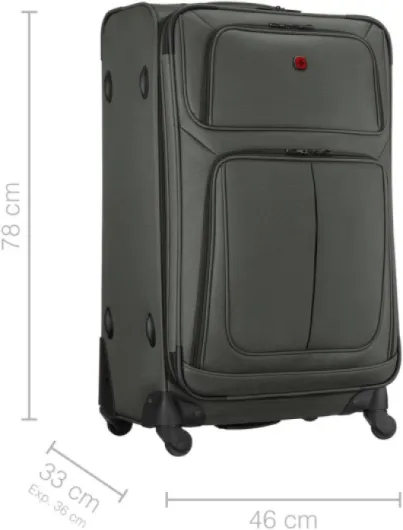 Sion Large Valise Souple à 4 roulettes, Trolley, Grand Format, 114 (126) l, Extensible, Femmes Hommes, Voyages Vacances, Grise, 653589 Grise Large