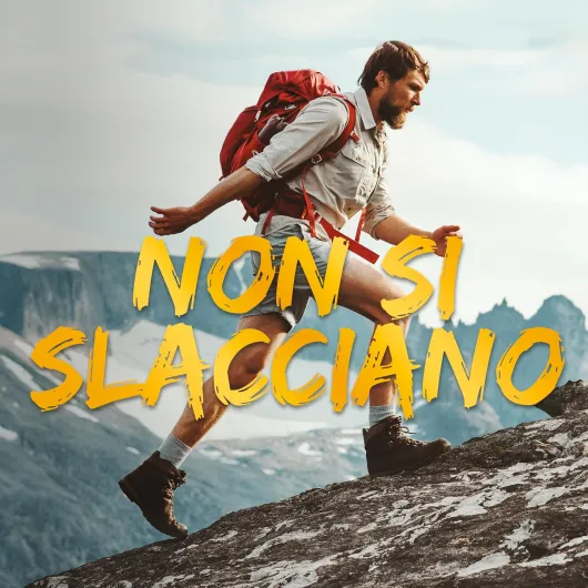 81SNl2AT0aL._AC_SL1500_