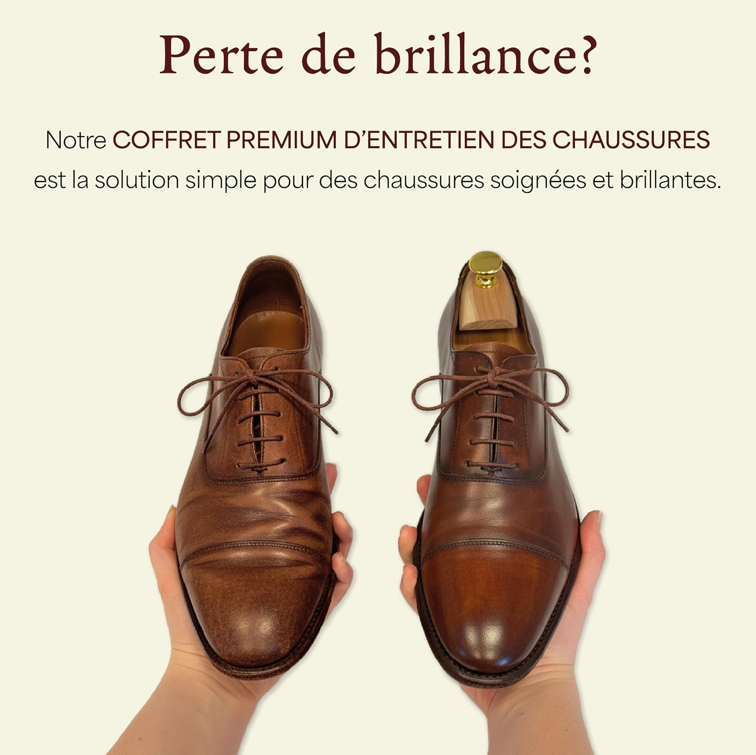 Langer & Messmer kit cirage de chaussures y compris des crèmes d'entretien pour le cuir et des brosses à chaussures de haute qualité en crin de cheval et en poil de chèvre 12 pièces